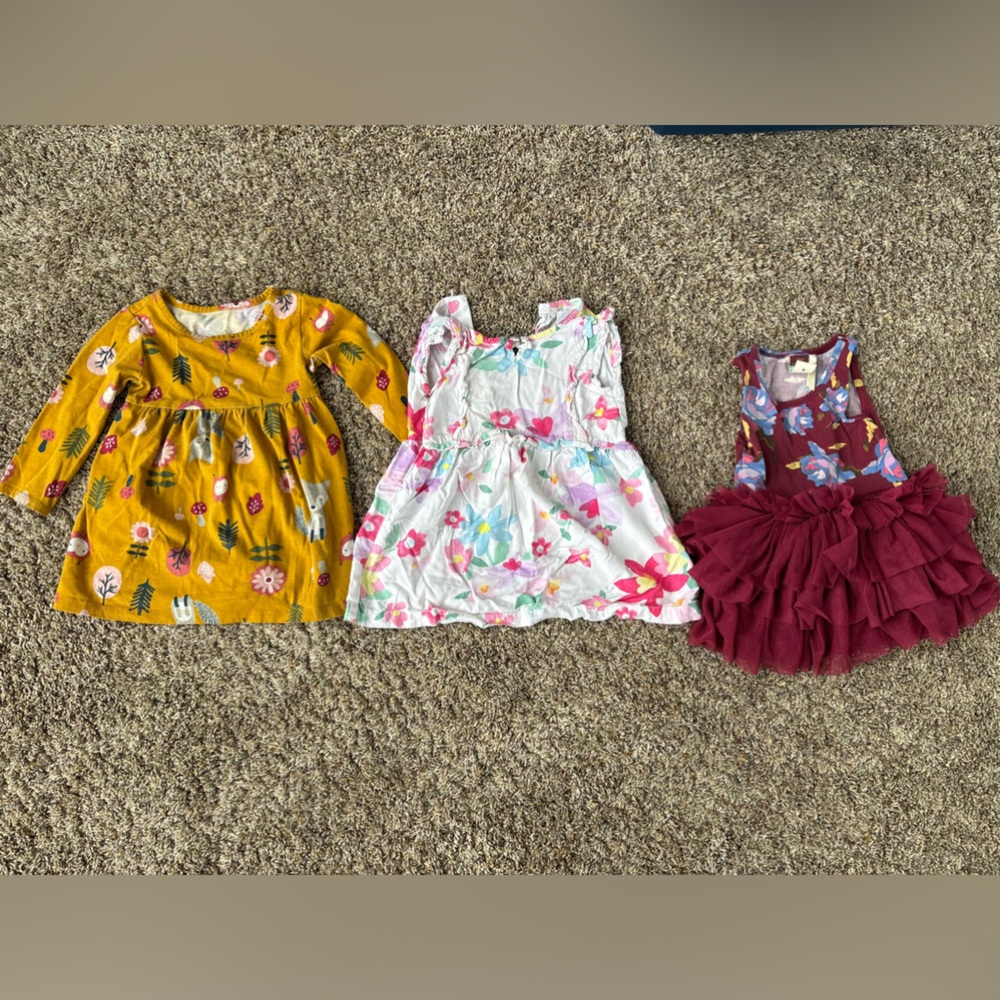 Girls 18 Month Dress Lot